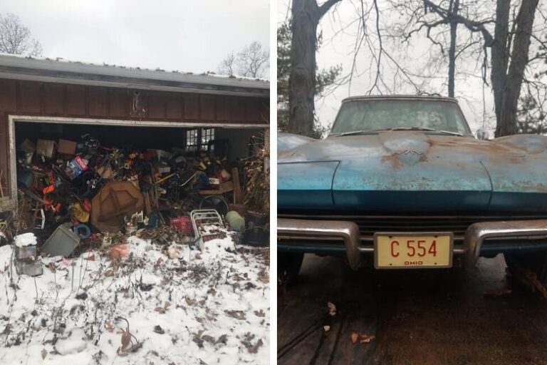 Incredible: A pile of garbage covers a unique sports car for 50 years